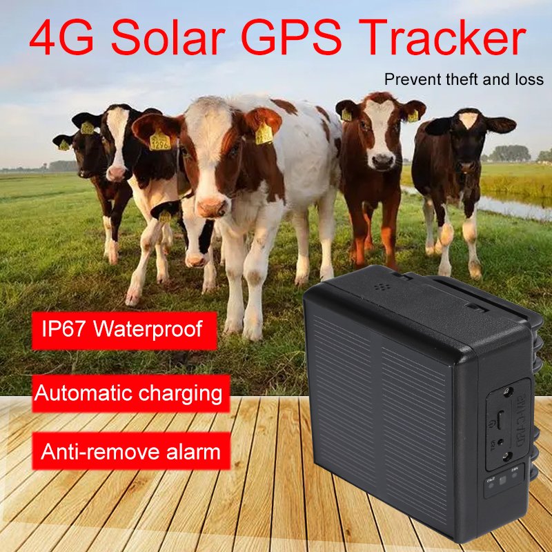 Wholesale Sheep Horse Pet GPS Tracker Husbandry Equipment,Solar Long Life Waterproof Mini Pet Cow GPS Animal anti-lost tracker